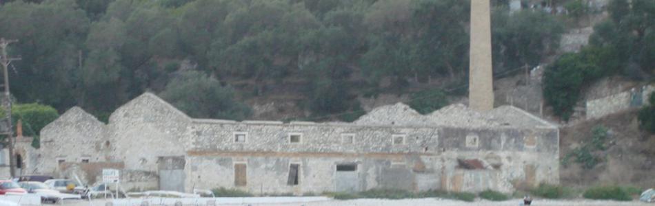 19493679.jpg