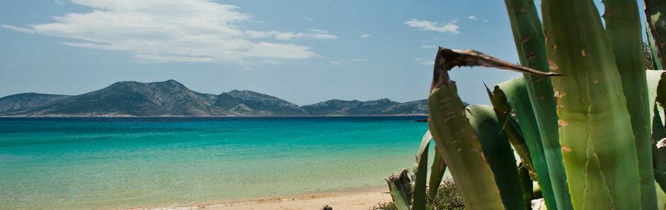 2-finikas-beach-koufonisia-hotel-greece.jpg