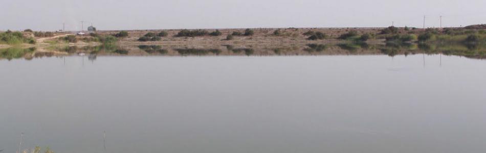 50854003.jpg