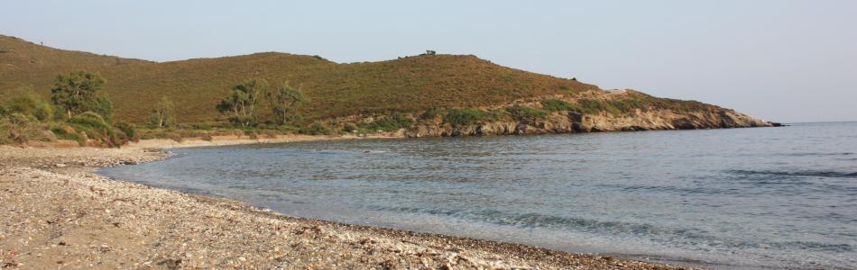 img_0113.jpg